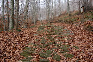 Romagna Toscana