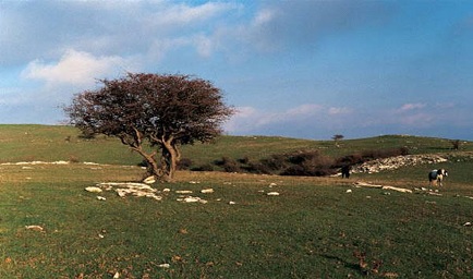 Anello della Calvana